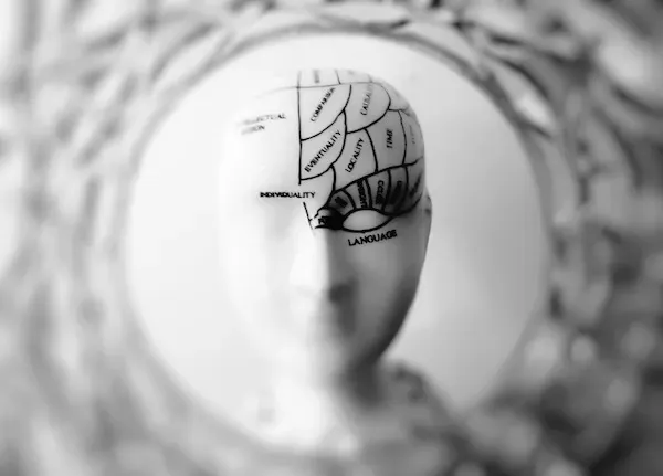 Porcelain head sculpture with areas of the brain mapped